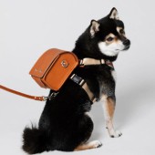 Balo randoseru dành cho cún gây sốt nhờ Shohei Ohtani